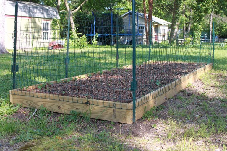 Building A Vegetable Garden Fence Hawk Haven