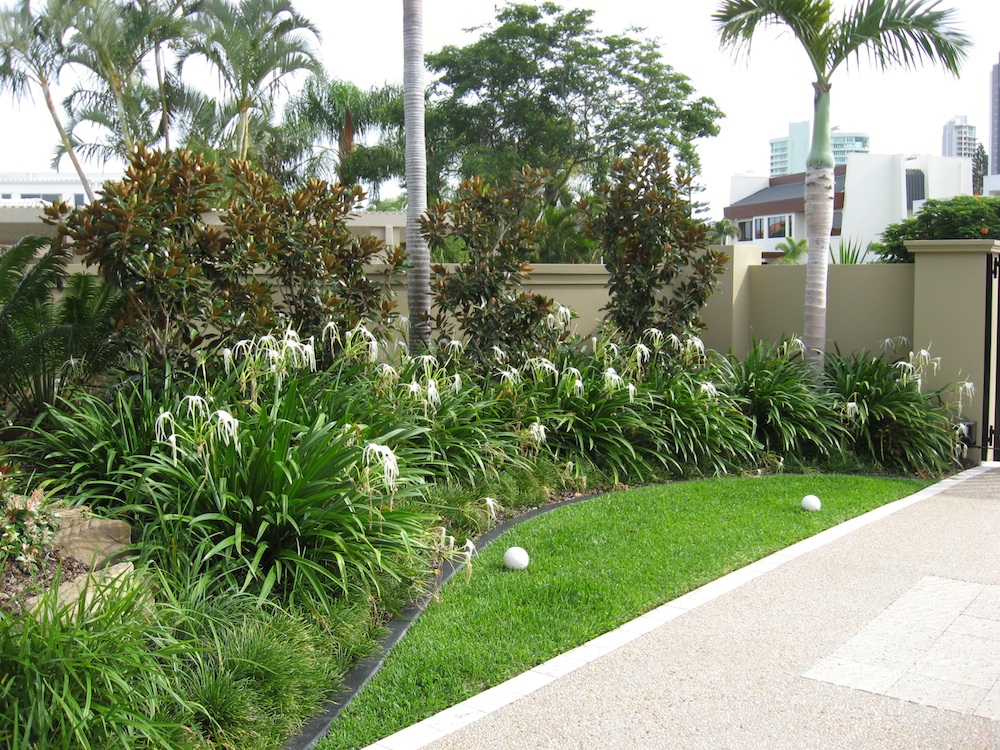 garden-design-ideas-gold-coast-hawk-haven