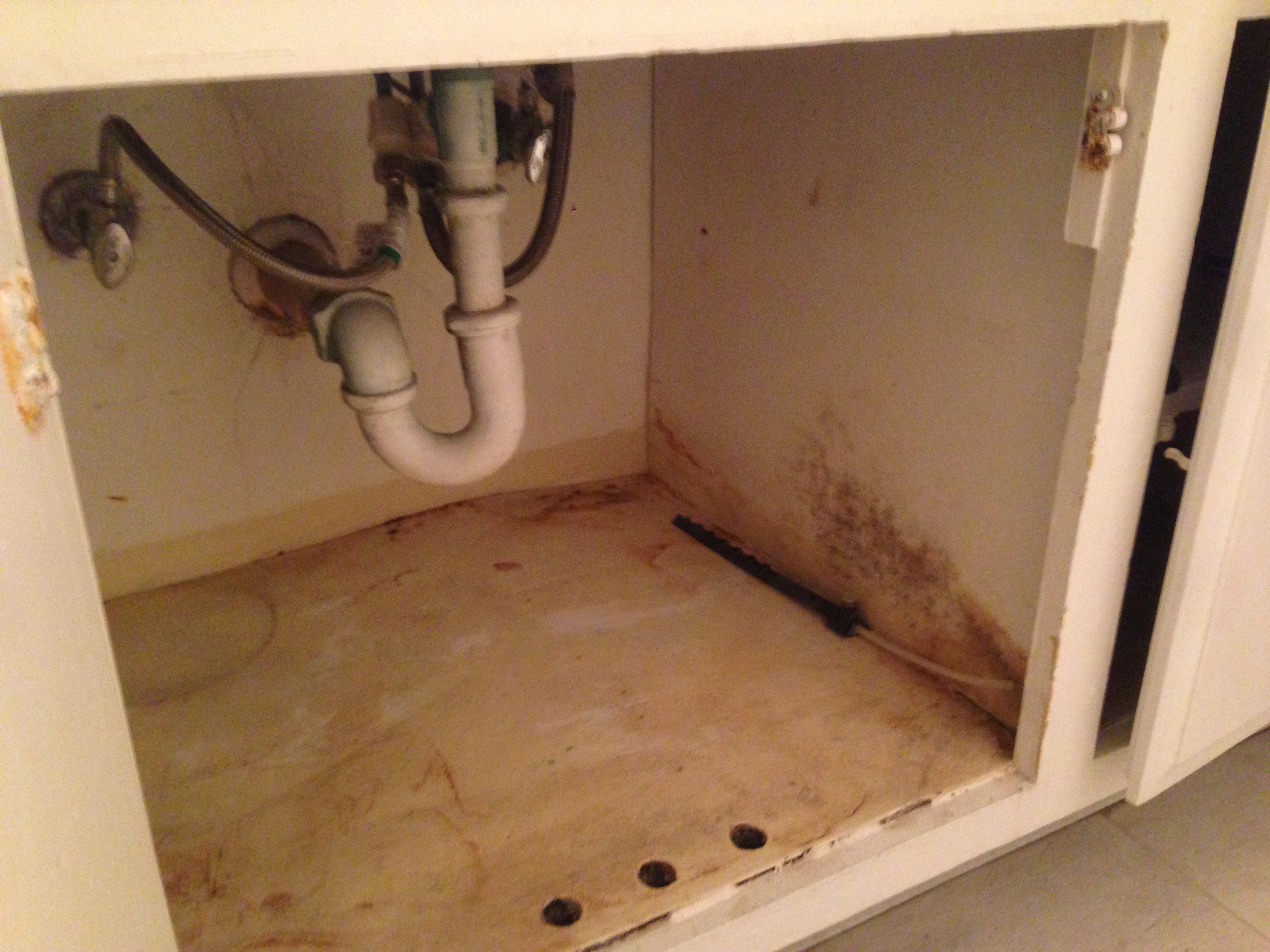 Mold Behind Bathroom Vanity