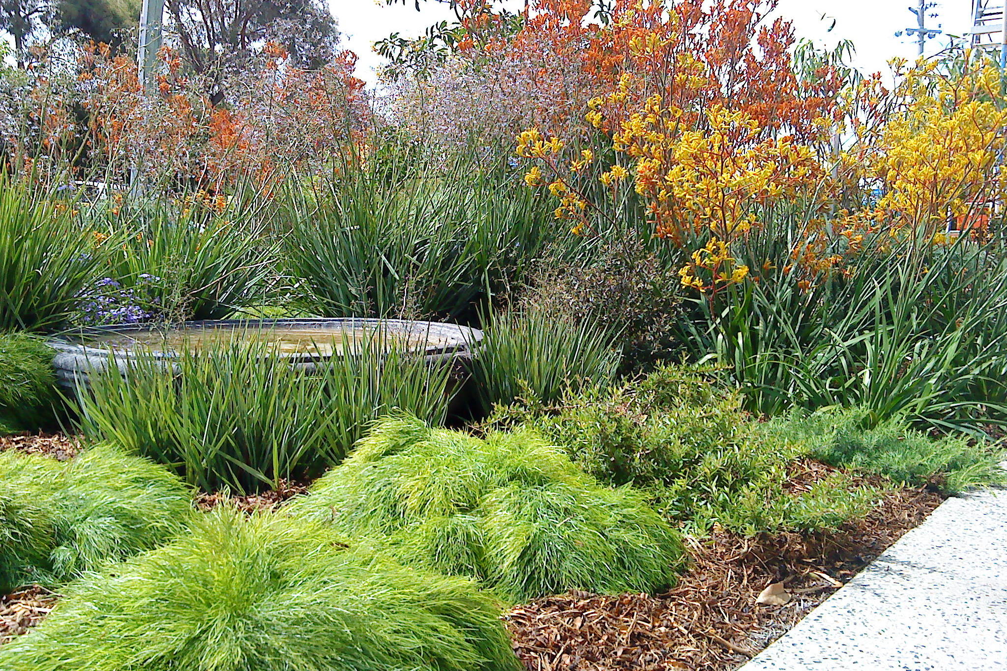 Large Garden Designs Australia Hawk Haven