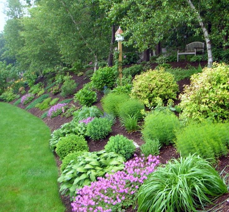 Sloped Garden Landscape Ideas Hawk Haven