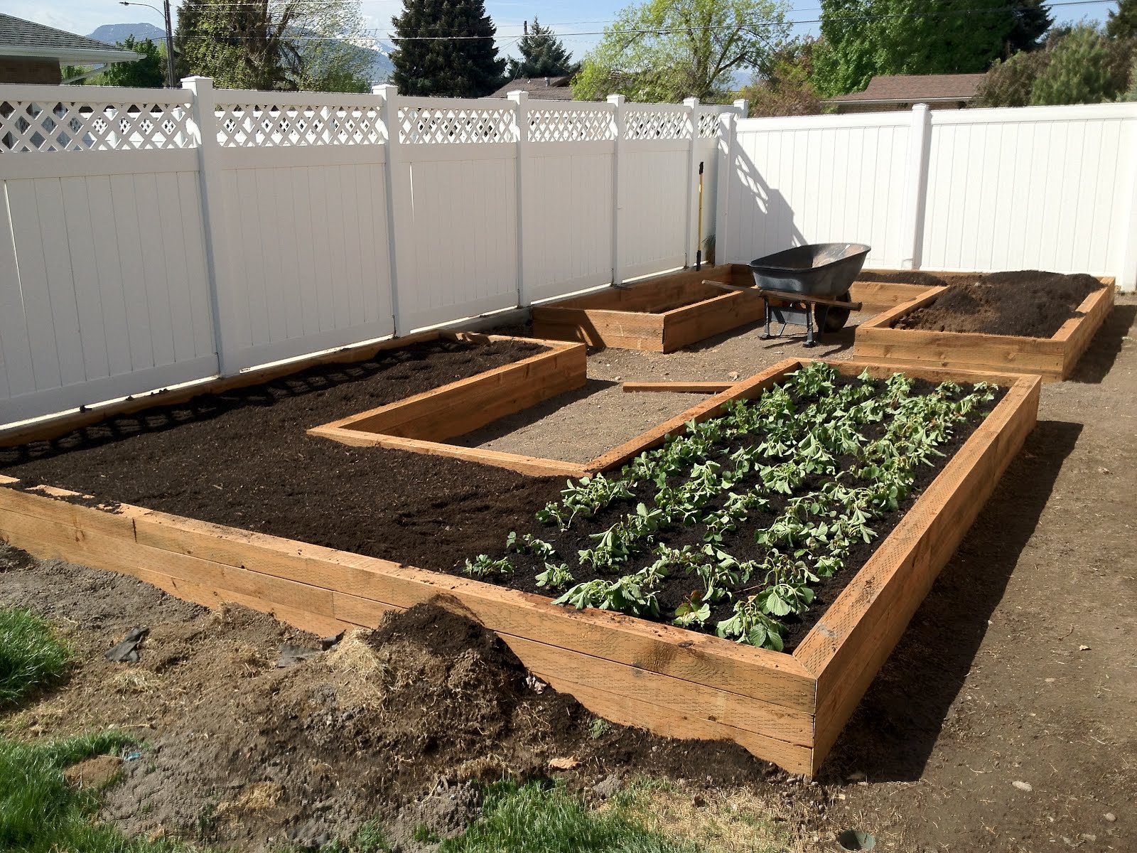 Vegetable garden box ideas | Hawk Haven