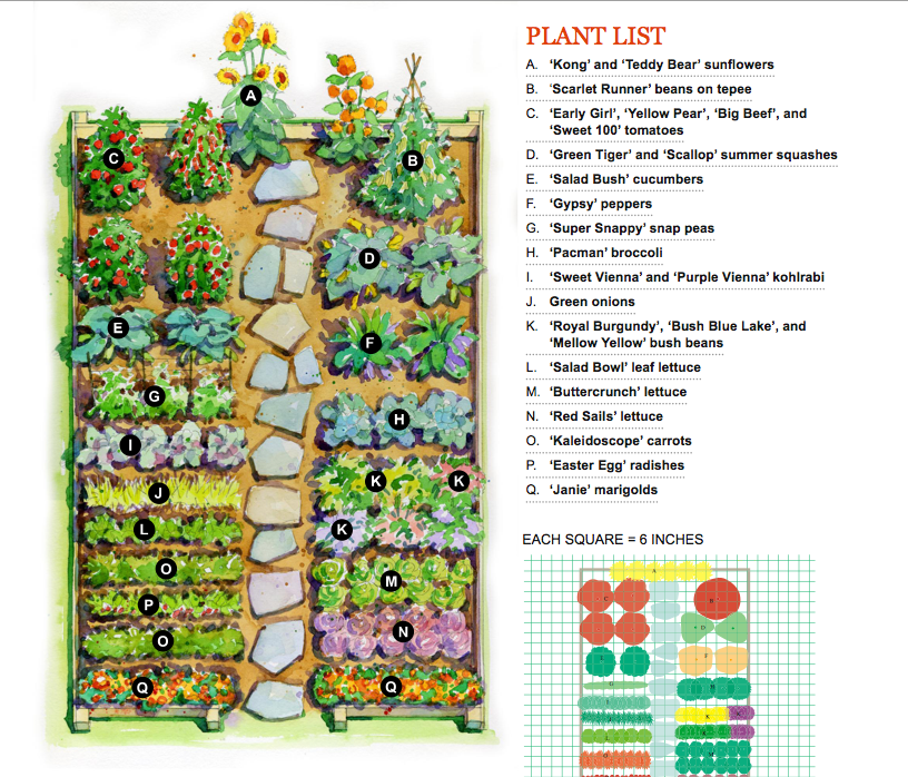 Vegetable Garden Plans Hawk Haven