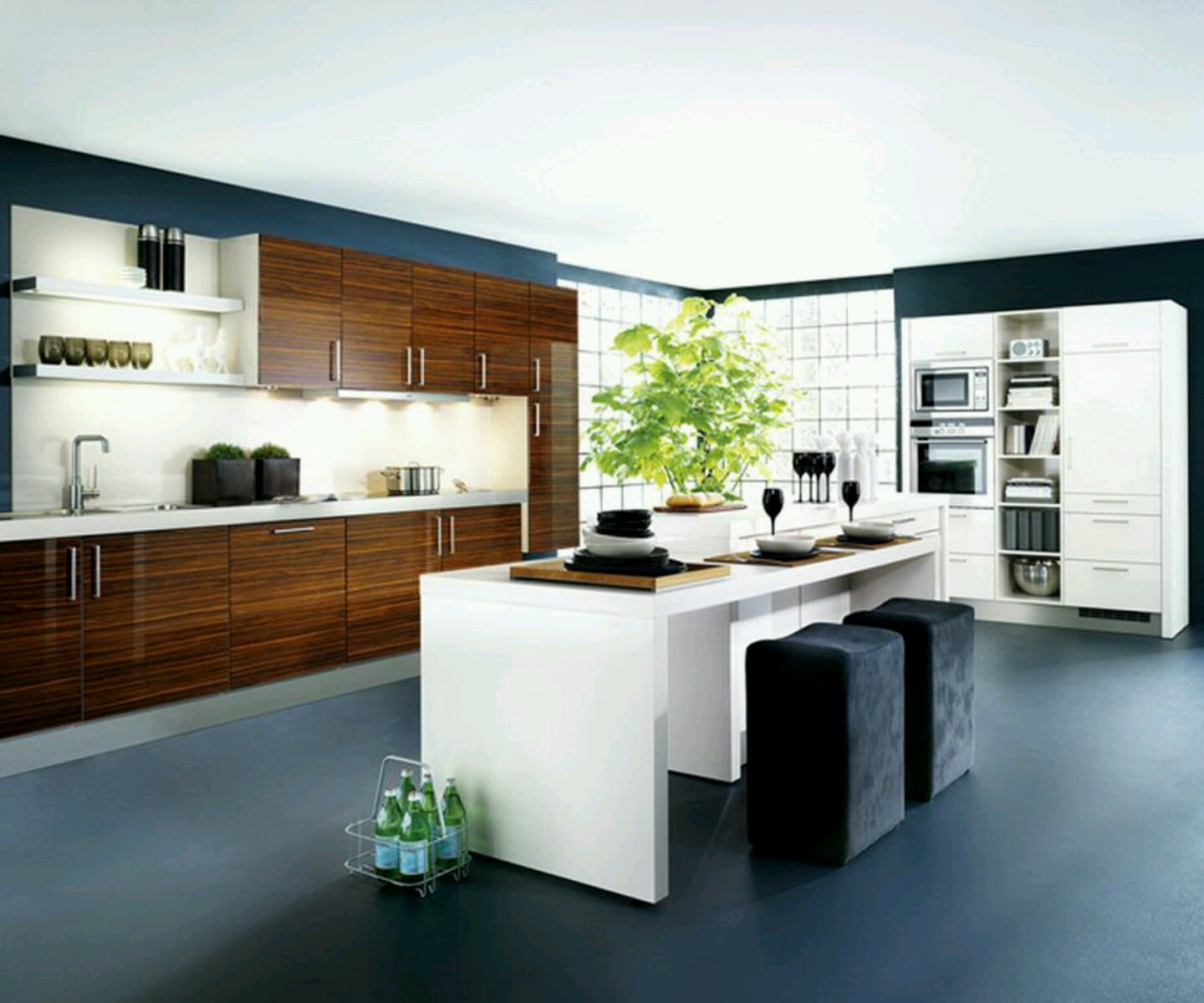 Contemporary Kitchen