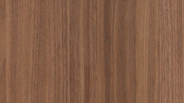 Kitchen Interior ﾖ Wood Material