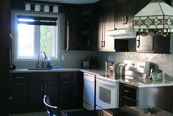 Black kitchen cabinets and white appliances