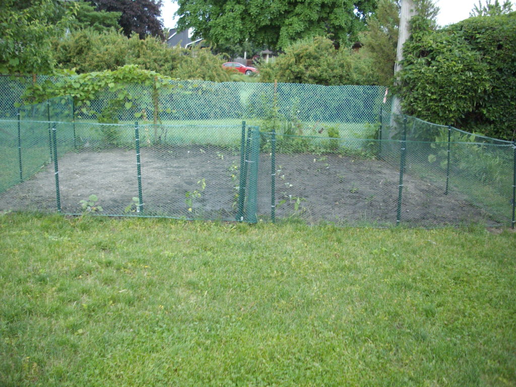 Cheap vegetable garden fence
