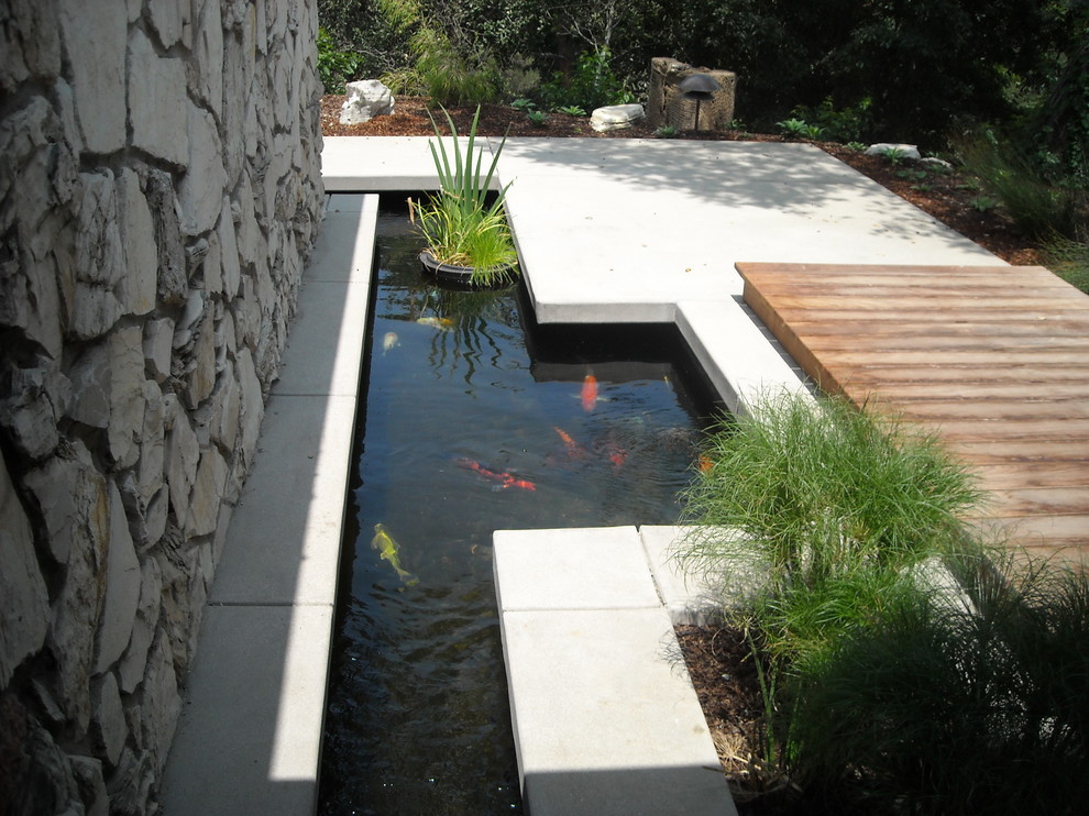 Contemporary garden pond ideas