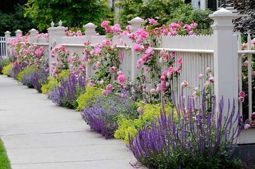 Garden design ideas lavender