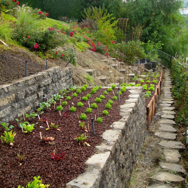 Garden design ideas on a slope