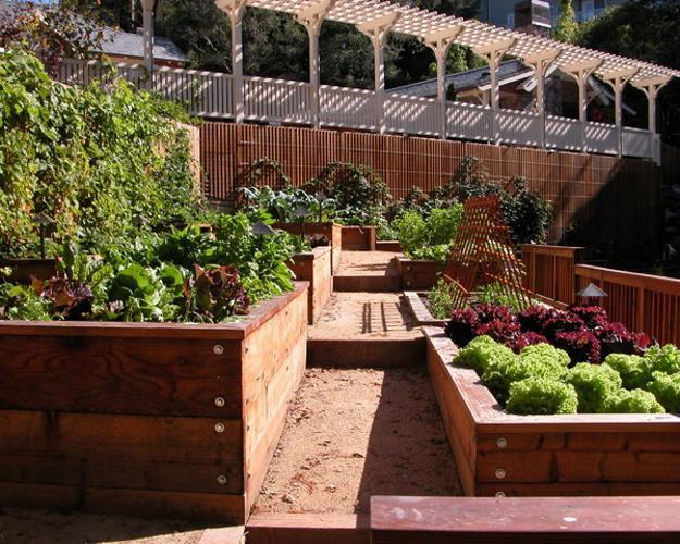 Garden design ideas raised beds