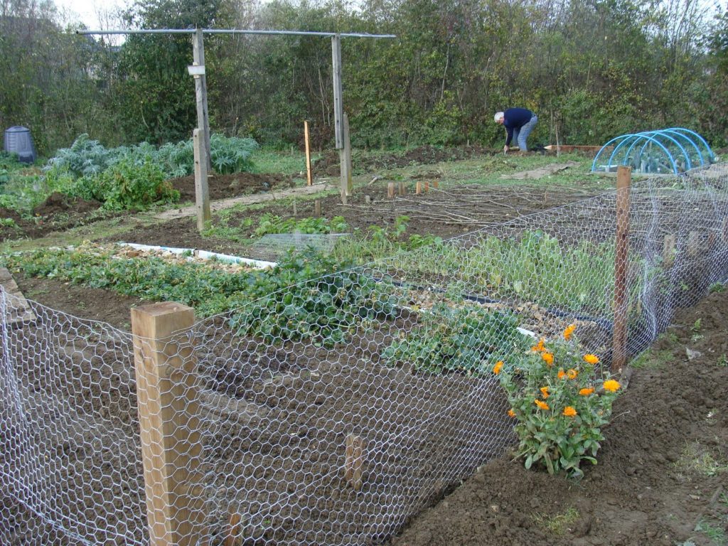 Garden fence ideas for rabbits