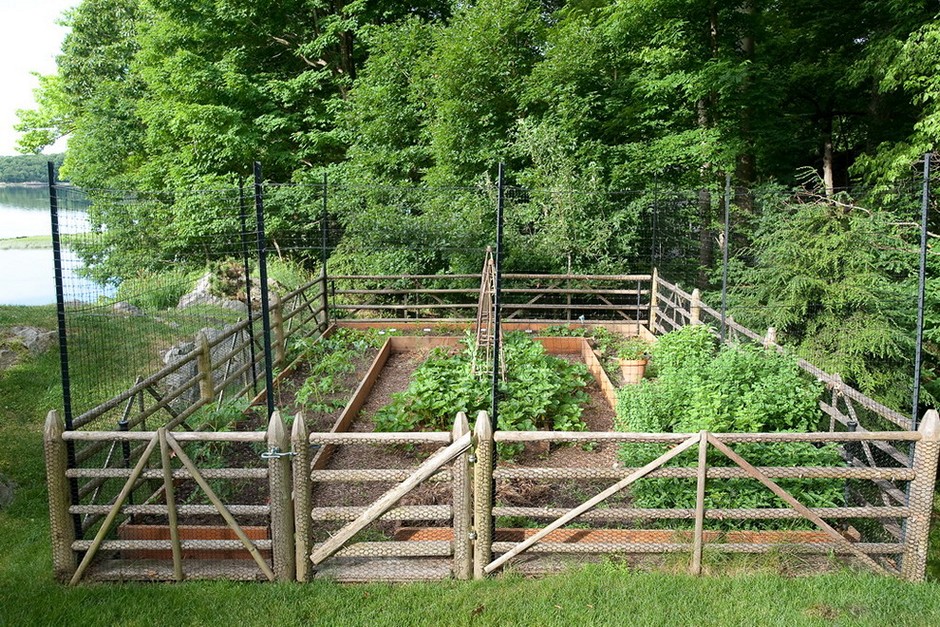 Garden fencing ideas pictures