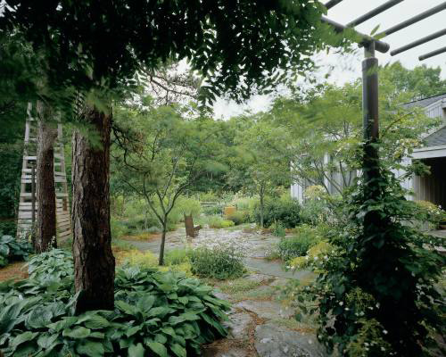 Japanese tea garden design ideas