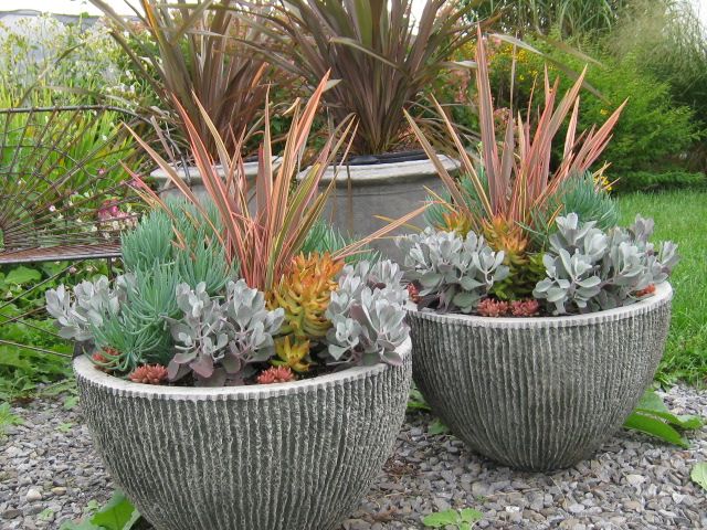 Large designer garden pots