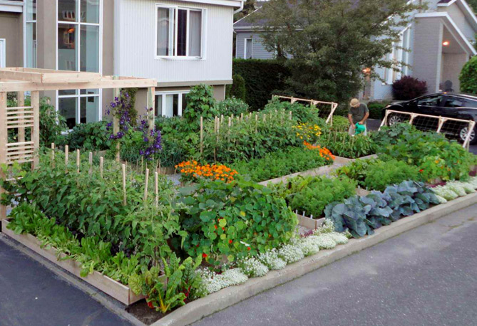 Urban vegetable garden layout