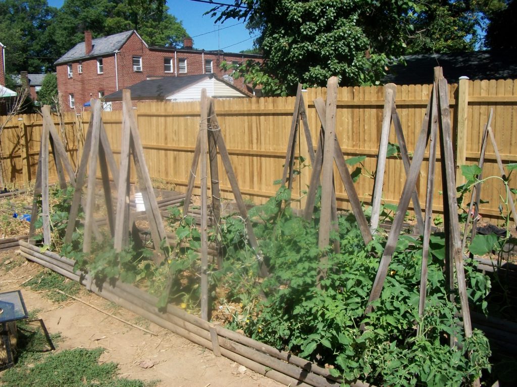 Vegetable garden against fence