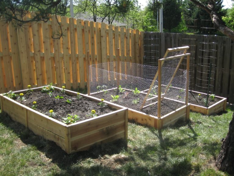 Vegetable garden along fence - Hawk Haven