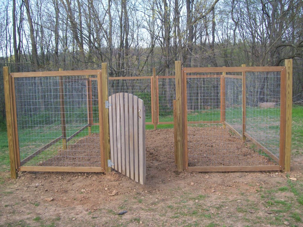 Vegetable garden fence