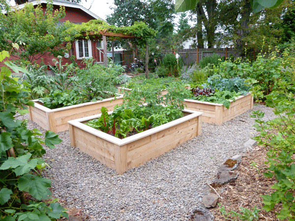 Vegetable garden plans