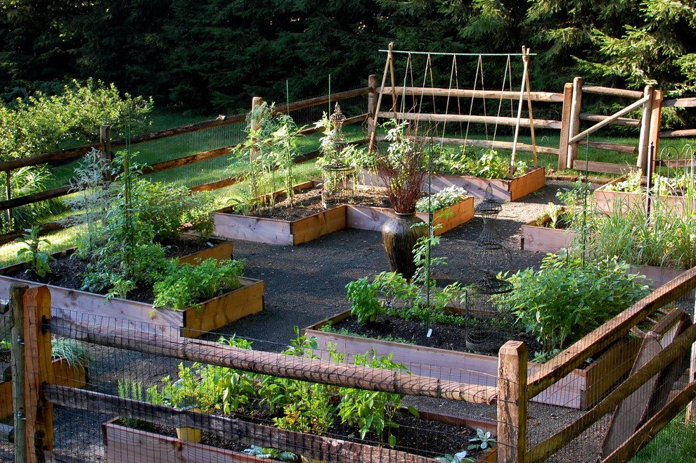 Veggie garden design ideas
