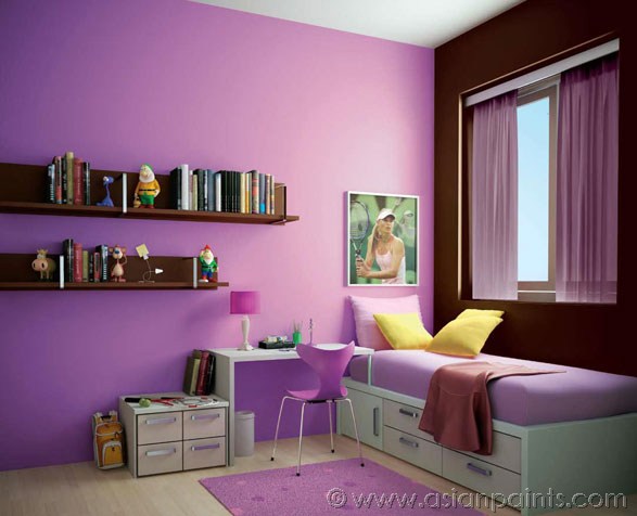 Wall colour shades images