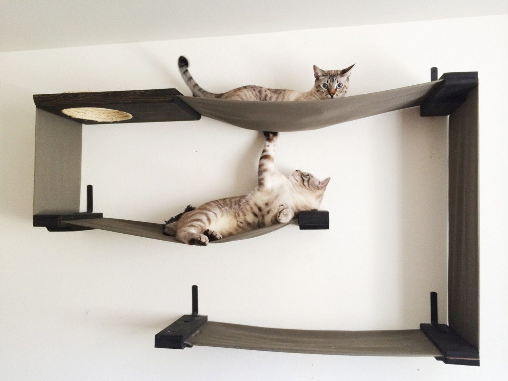 Wall mounted shelves for cats