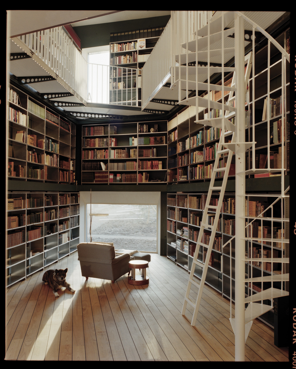 Amazing Private Libraries photo - 2