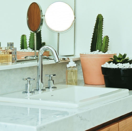 Bathroom Cactus Plant photo - 7