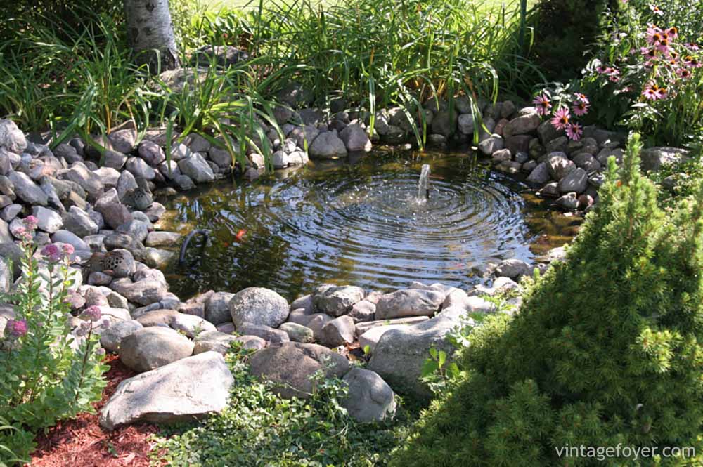 Garden Pond Inspiration photo - 10