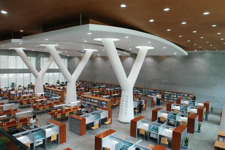 Library Interior Design Ideas photo - 6