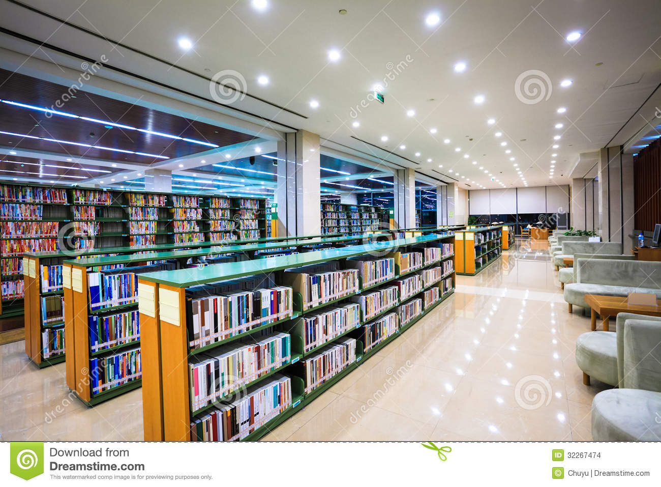 Modern Library Interiors photo - 10