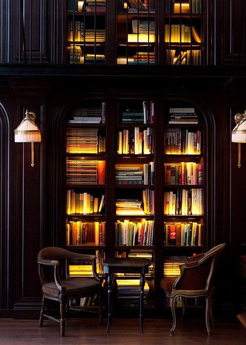 Private Library Bookcase photo - 9
