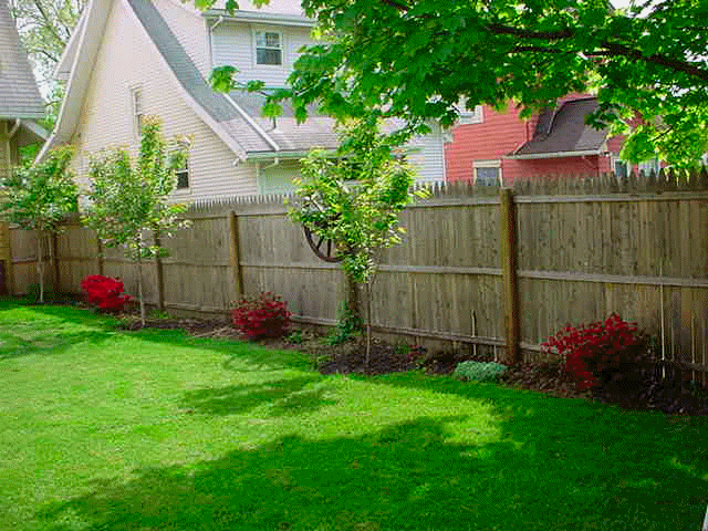 back garden fencing ideas photo - 9