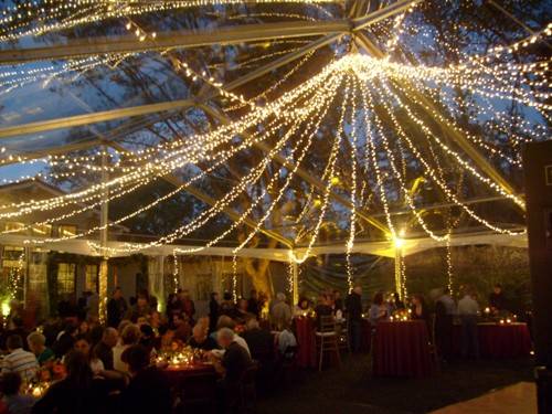 best outdoor party lights photo - 1
