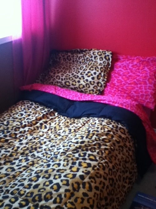 cheetah print and red bedroom photo - 10