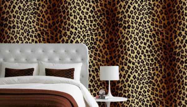 cheetah print bedroom walls photo - 6