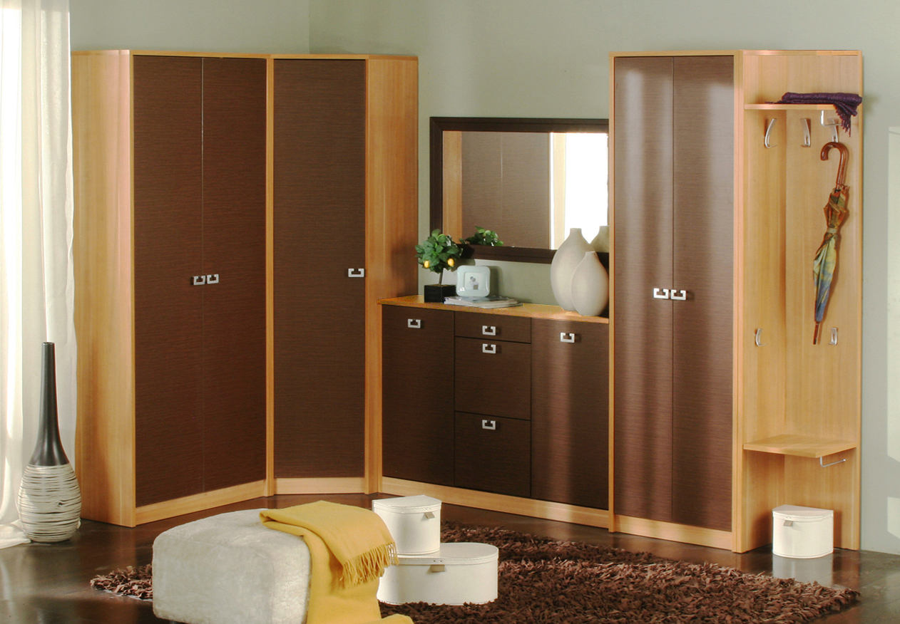 cupboard designs with mirror photo - 5