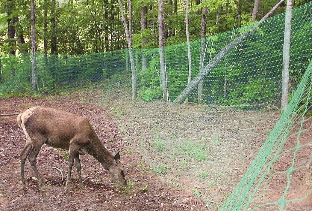 decorative deer fence ideas photo - 9