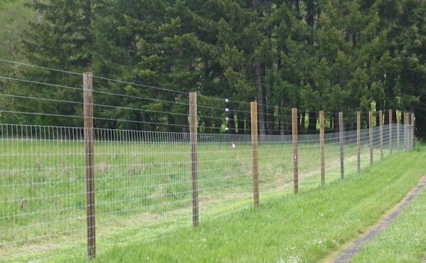 deer fence post ideas photo - 5