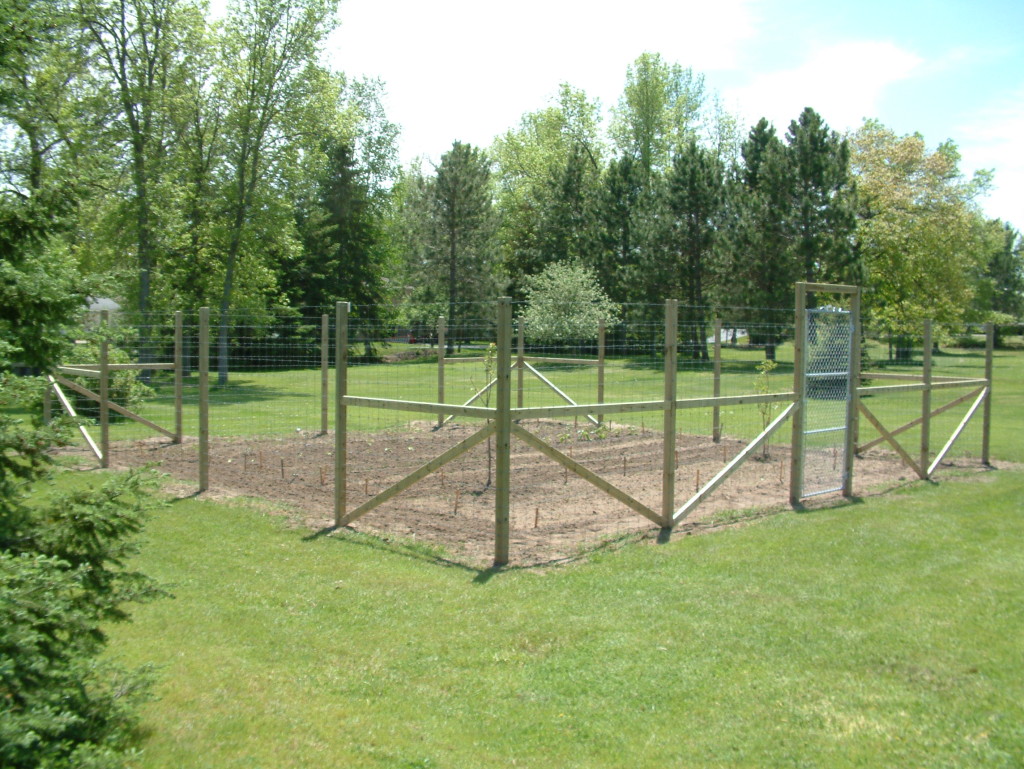 deer proof garden fencing ideas photo - 2