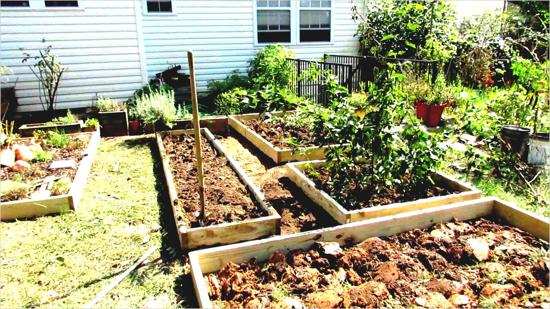 designing an urban vegetable garden photo - 10