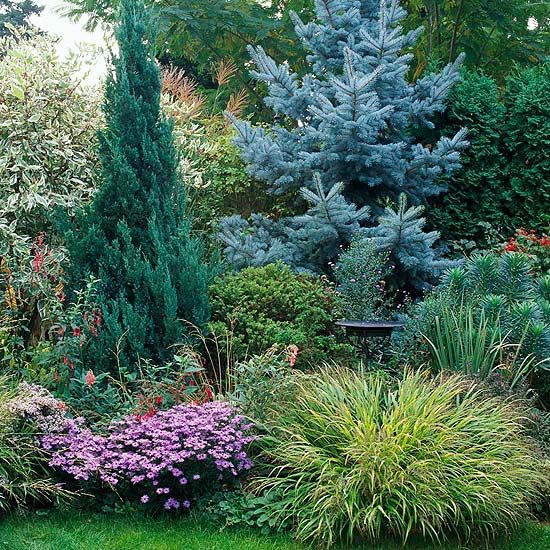 evergreen garden design ideas photo - 10
