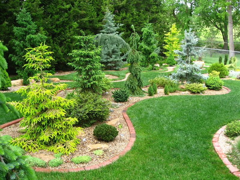 evergreen garden design ideas photo - 5