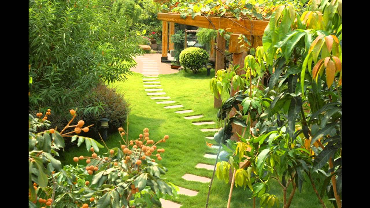 exotic garden design ideas photo - 1