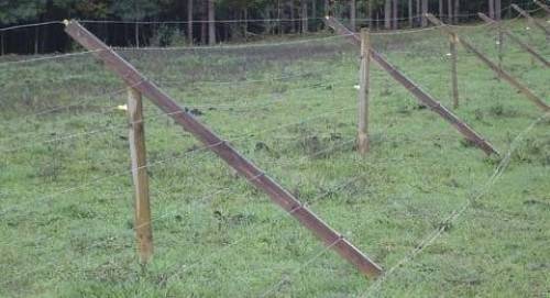 fencing ideas to keep deer out photo - 9