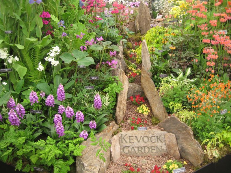 flowers and plants for rock gardens photo - 9