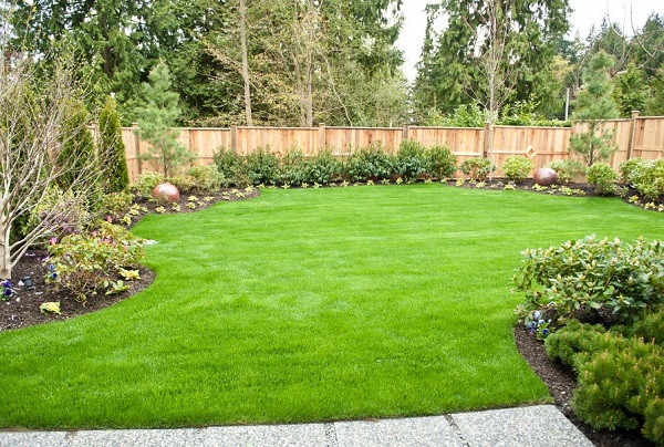 garden design for large areas photo - 4