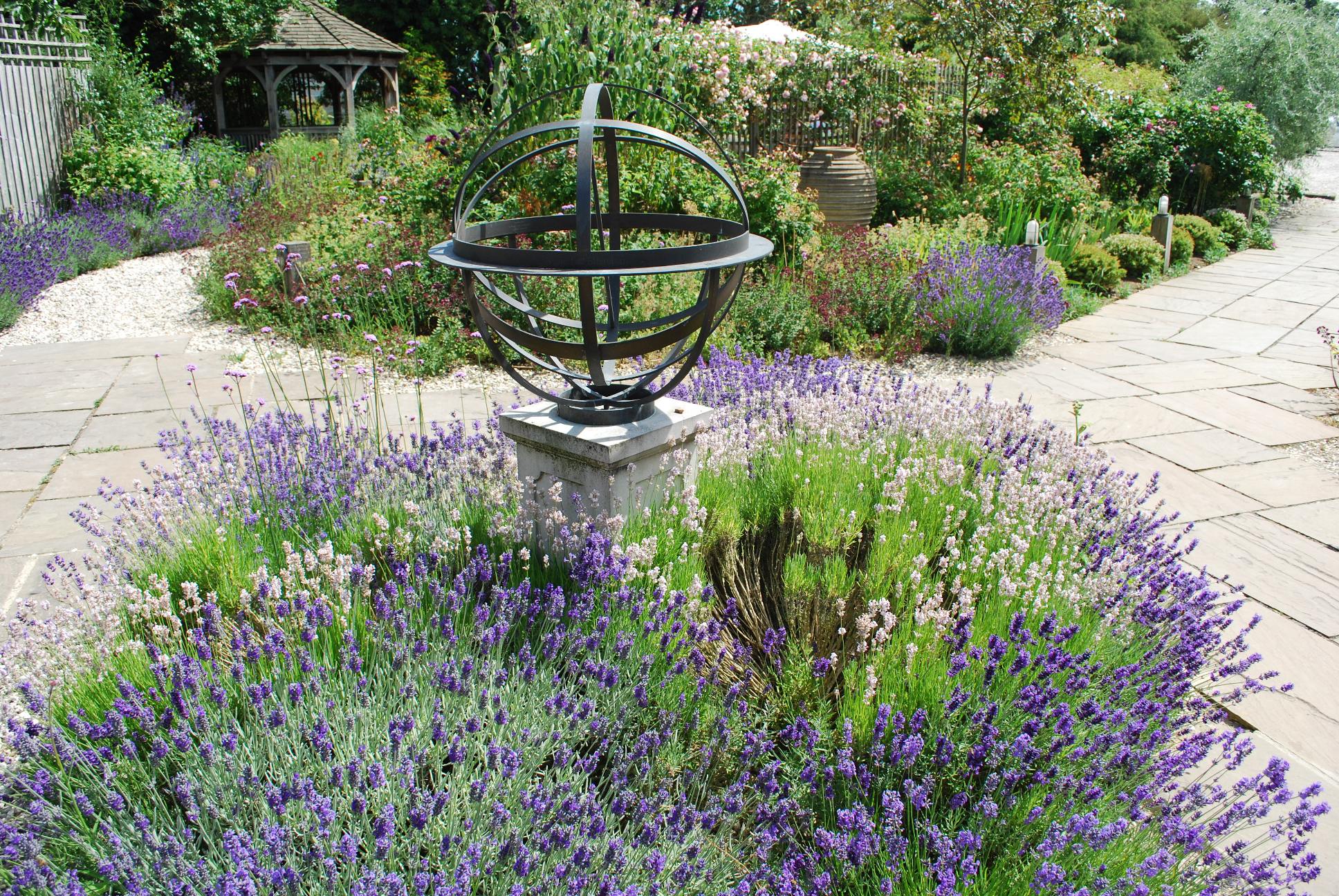 garden design ideas lavender photo - 7