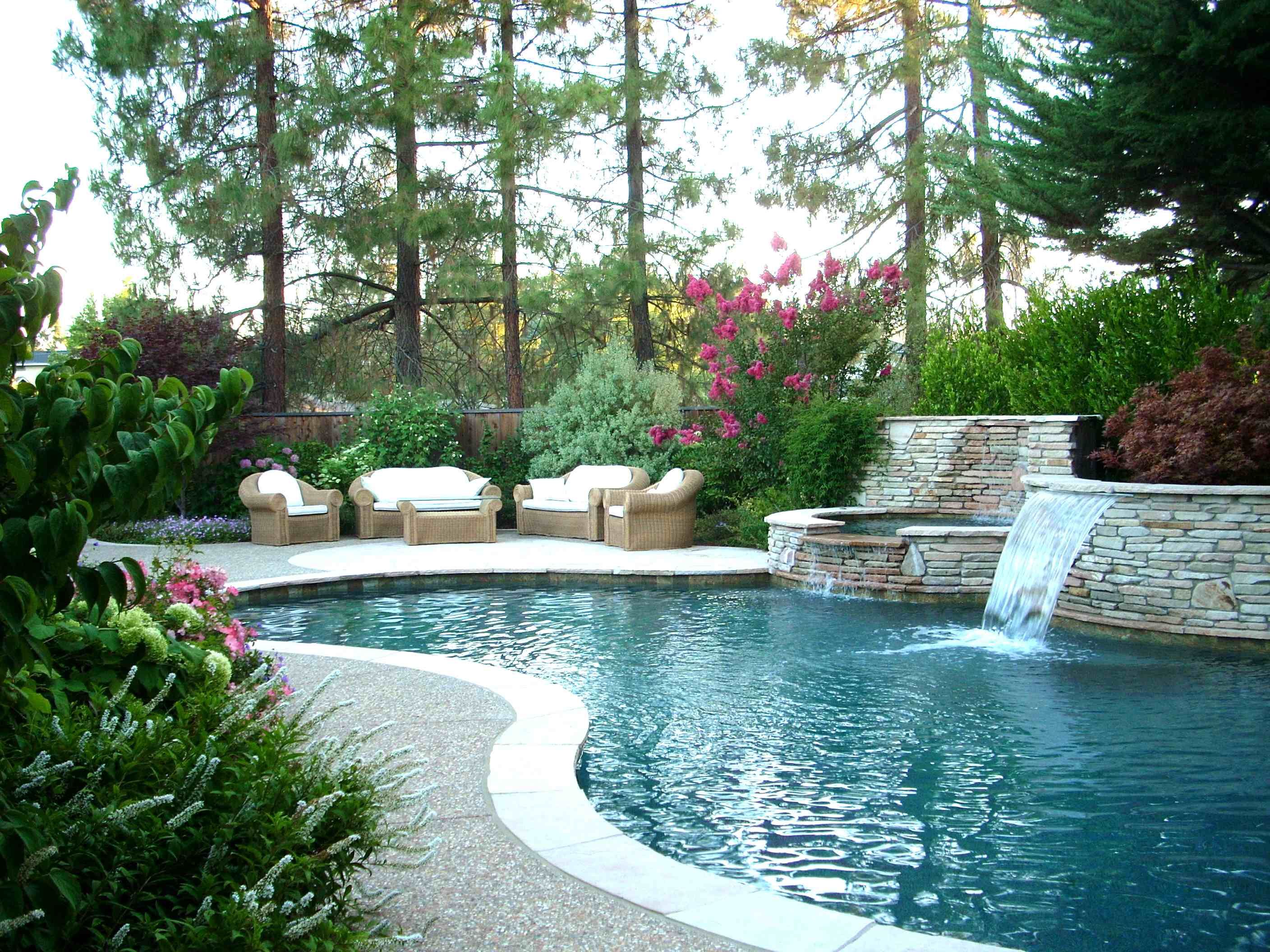 garden design ideas with pool photo - 3
